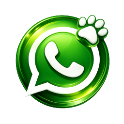 WhatsApp Chat